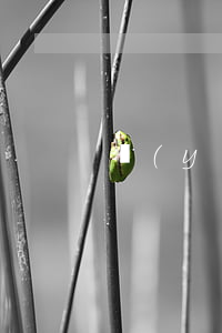 醫(yī)保卡里的錢可以繼承嗎？